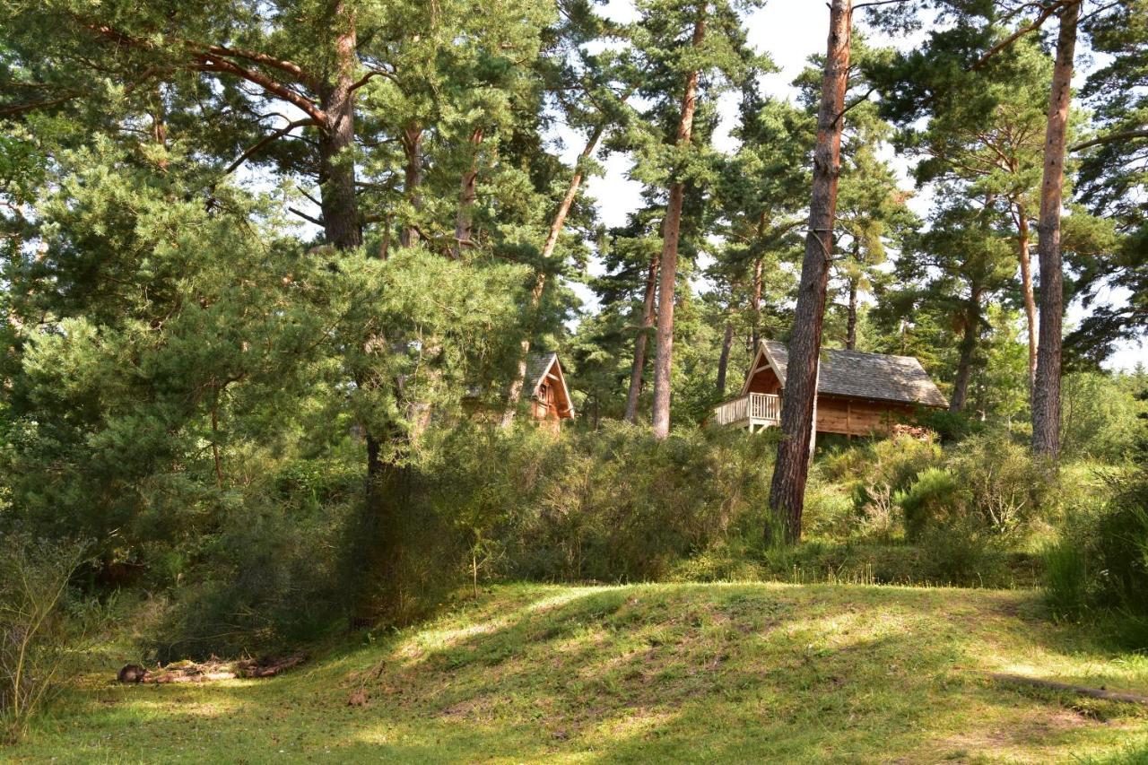 Cabane Lodge Domaine Du Lac Chambon Murol Exterior photo